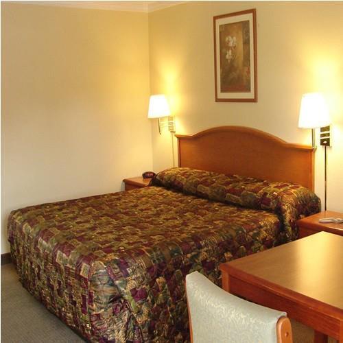 Red Carpet - Motel